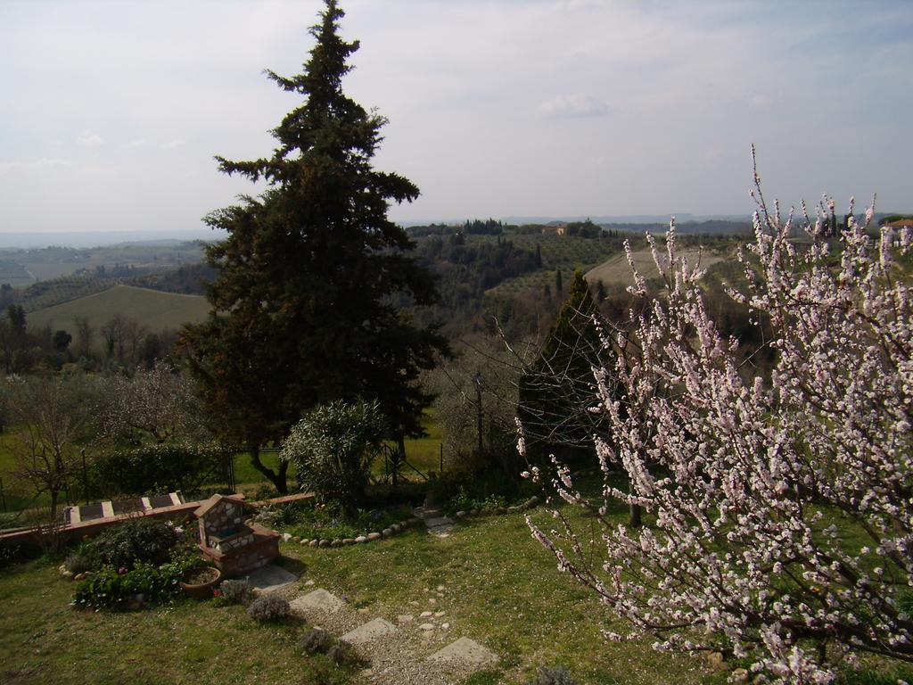 Ferienwohnung Nido Di Rondine Montespertoli Exterior foto